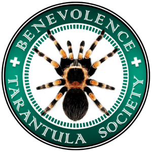 Benevolence Tarantula Society